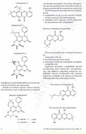Wissenschaft